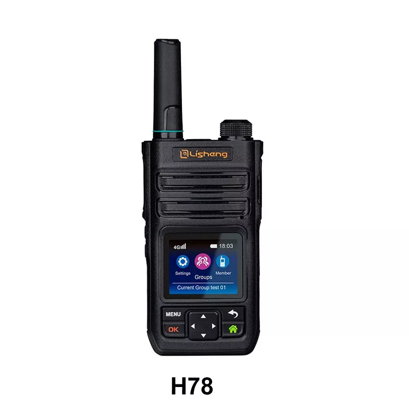 RADIO ROIP su IP